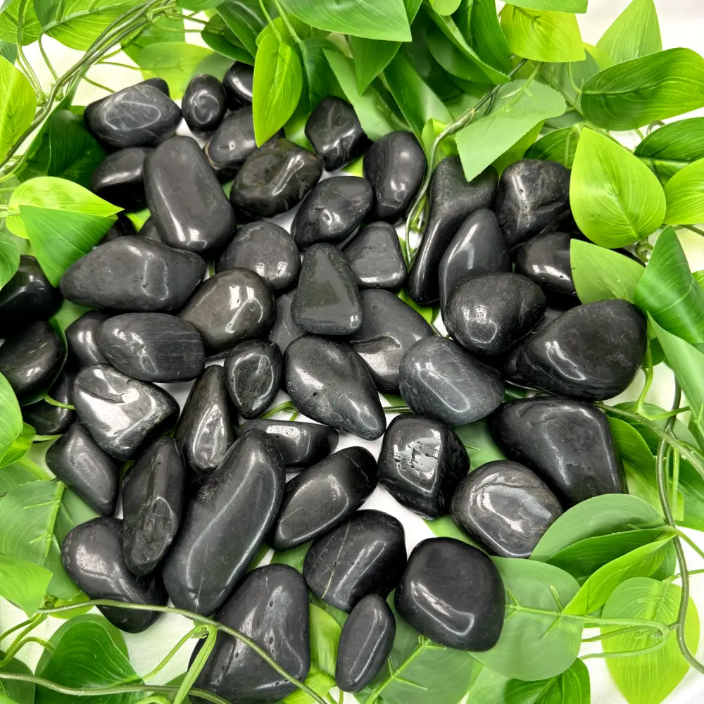 PGN Black River Rocks - 15 Pounds - Image 3